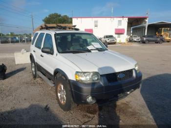  Salvage Ford Escape