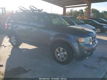  Salvage Ford Escape