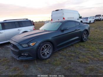  Salvage Ford Mustang