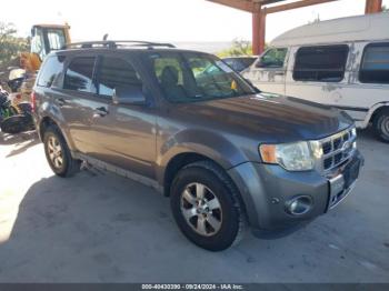  Salvage Ford Escape