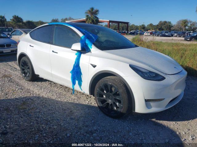  Salvage Tesla Model Y