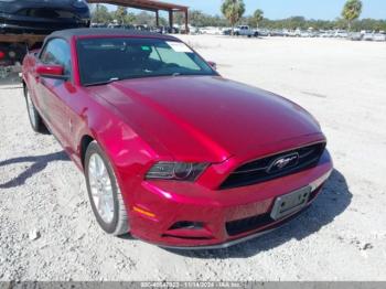  Salvage Ford Mustang