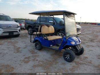  Salvage Brintelli Golf Cart