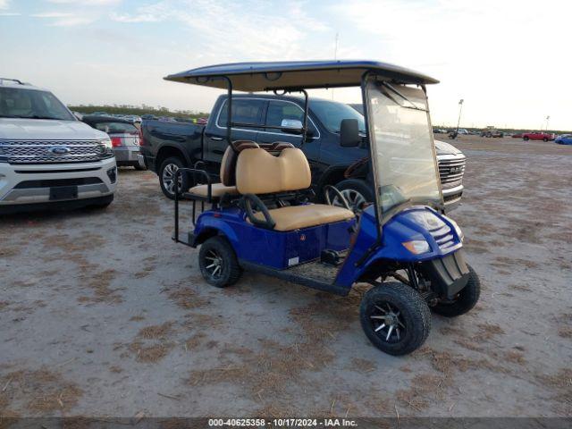  Salvage Brintelli Golf Cart