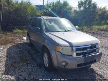  Salvage Ford Escape