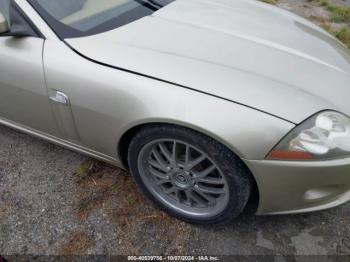  Salvage Jaguar XK