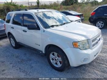  Salvage Ford Escape