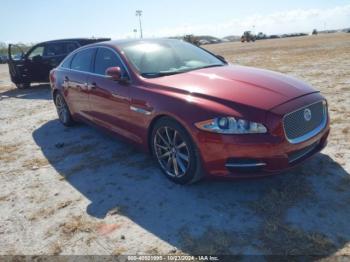  Salvage Jaguar XJ