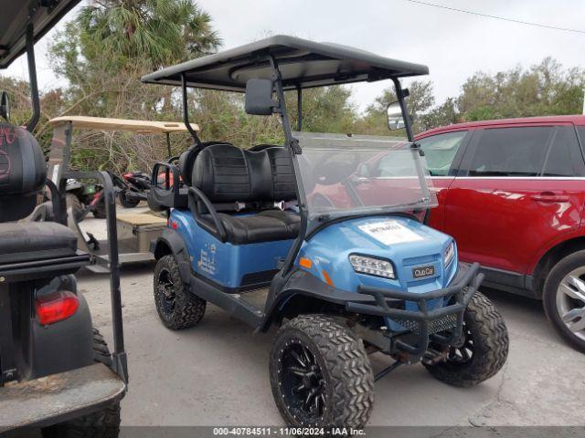  Salvage Onward Golf Cart