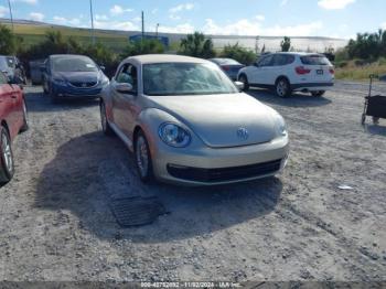  Salvage Volkswagen Beetle