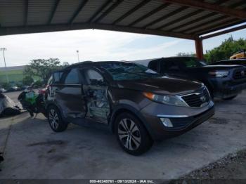  Salvage Kia Sportage