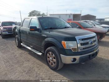  Salvage Ford F-150