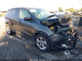  Salvage Ford Escape