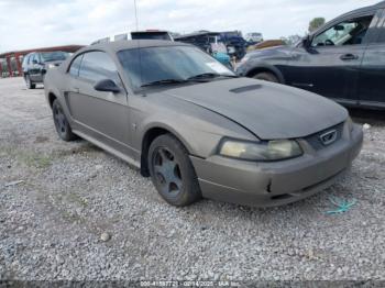  Salvage Ford Mustang