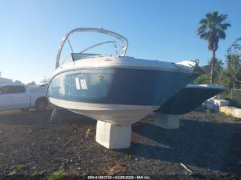  Salvage Sea Ray Other