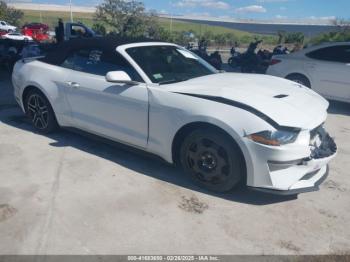  Salvage Ford Mustang