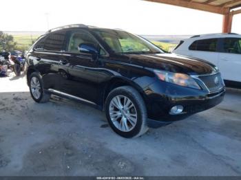  Salvage Lexus RX