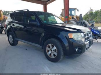  Salvage Ford Escape