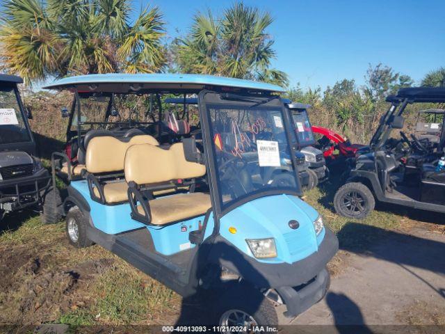  Salvage Binitelli Golf Cart