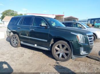  Salvage Cadillac Escalade
