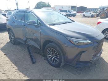  Salvage Lexus NX