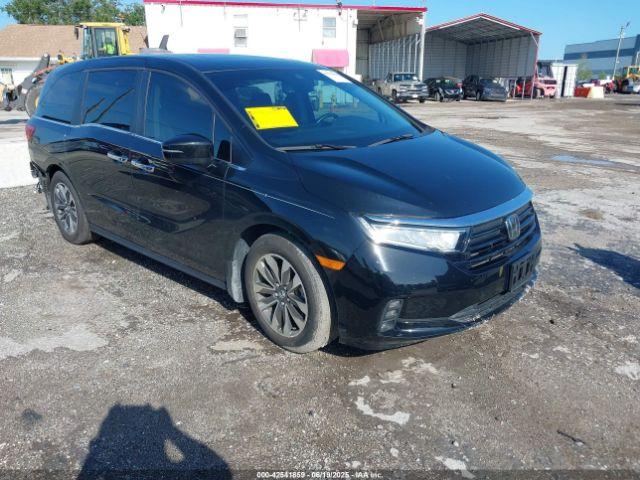 Salvage Honda Odyssey