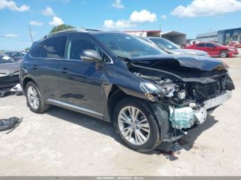  Salvage Lexus RX
