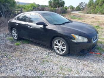  Salvage Nissan Maxima