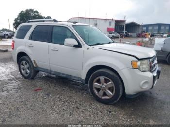  Salvage Ford Escape