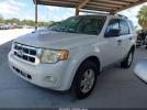 Ford Escape Xlt Image 10