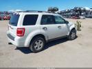 Ford Escape Xlt Image 10