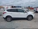 Ford Escape Se Image 5