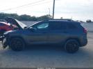 Jeep Cherokee Altitude Fwd Image 8
