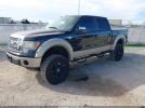 Ford F-150 King Ranch Image 10