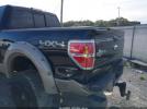 Ford F-150 King Ranch Image 13