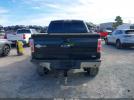 Ford F-150 King Ranch Image 6