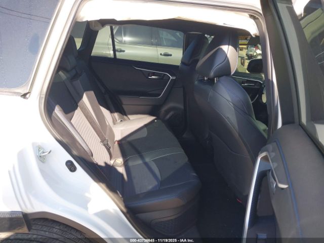 Toyota RAV4 Xse Image 6