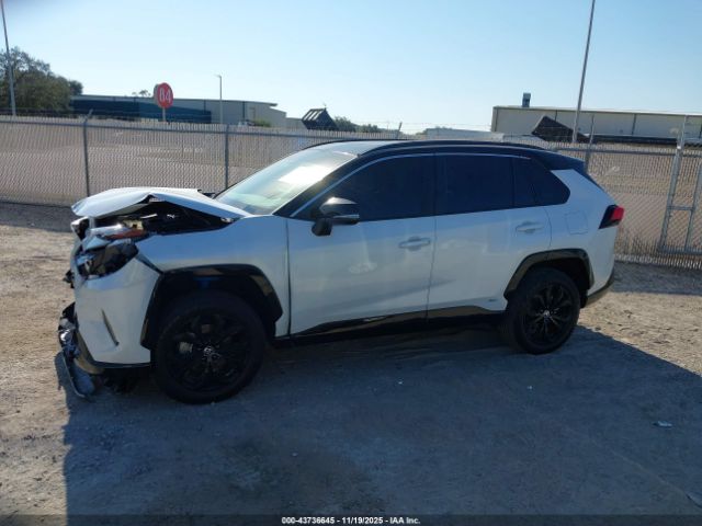 Toyota RAV4 Xse Image 12