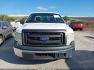 Ford F-150 Xl Image 12