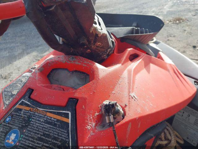 Sea-Doo Seadoo Image 12