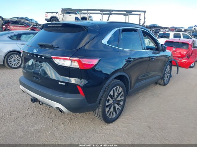 Ford Escape Titanium Image 8