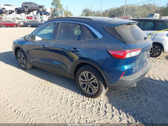 Ford Escape Sel Image 7