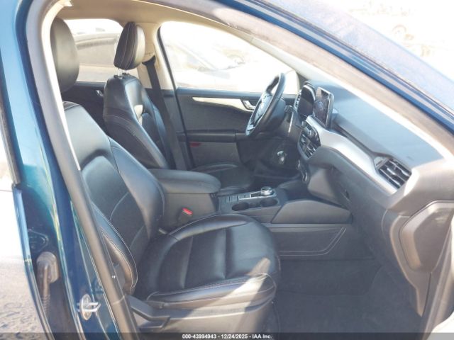 Ford Escape Sel Image 8