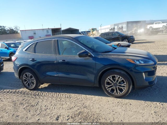 Ford Escape Sel Image 3