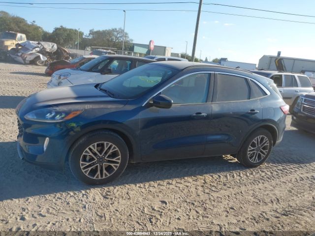 Ford Escape Sel Image 16