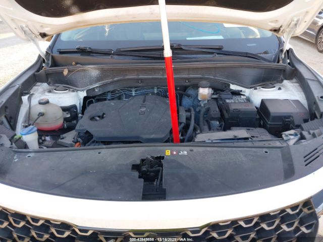 Kia Sorento X-line S Image 7